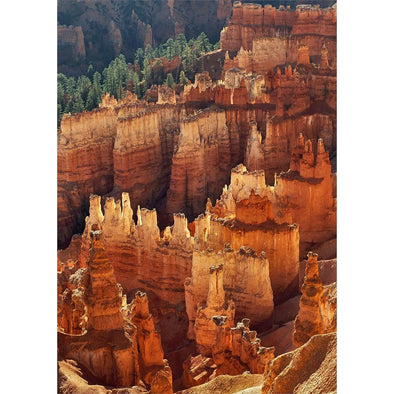 Bryce Canyon 2- 3D Lenticular Post Card  Greeting Card - NEW