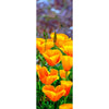 CALIFORNIA POPPIES - 3D Clip-On Lenticular Bookmark - NEW Bookmarks 3Dstereo 