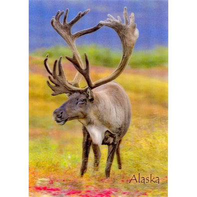 Caribou- 3D Lenticular Postcard Greeting Card - NEW