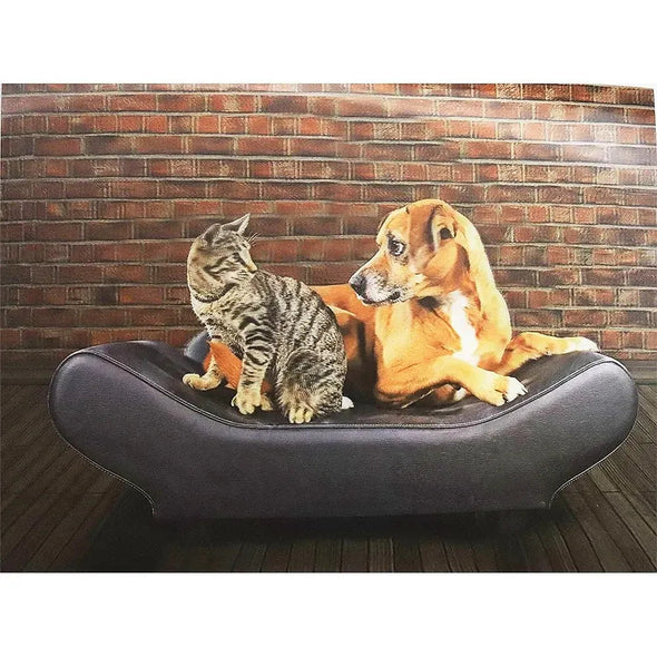 Cat and Dog Sitting on Couch- 3D Lenticular Poster - 12x16 - NEW Poster 3dstereo 