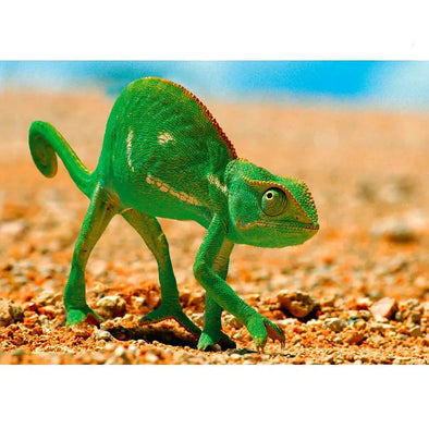 Chameleon - 3D Lenticular Postcard Greeting Card - NEW Postcard 3dstereo 