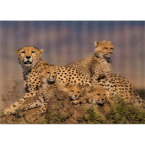Cheetah mother and cubs - 3D Lenticular Postcard Greeting Cardd - NEW Postcard 3dstereo 