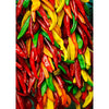 Chile Peppers - 3D Action Lenticular Postcard Greeting Card - NEW Postcard 3dstereo 