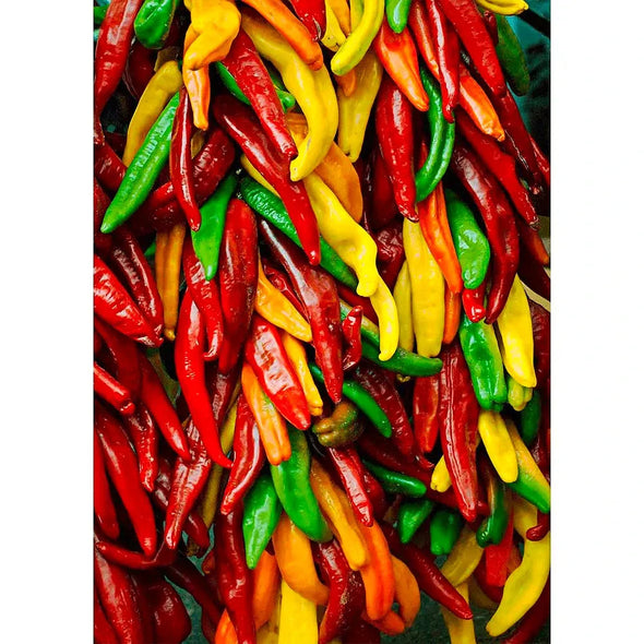 Chile Peppers - 3D Action Lenticular Postcard Greeting Card - NEW Postcard 3dstereo 