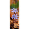 COMMON HEPATICA - 3D Clip-On Lenticular Bookmark - NEW Bookmarks 3Dstereo 