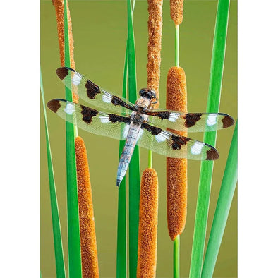 Twelve-spotted Dragonfly - 3D Lenticular Postcard Greeting Card Postcard 3dstereo 