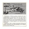 Marineland of Florida - Vintage Classic View-Master(R) 3 Reel Packet - 1960s views Packet 3dstereo 