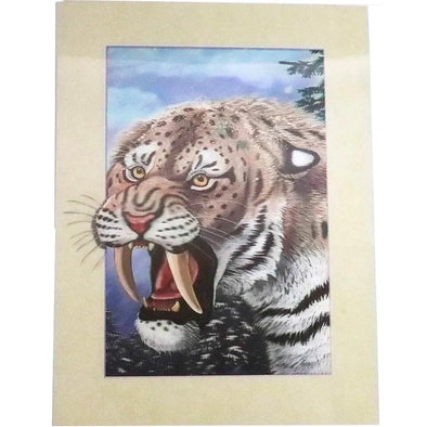 Sabre Tooth Tiger - 3D Lenticular Poster - 12x16 - NEW Poster 3dstereo 