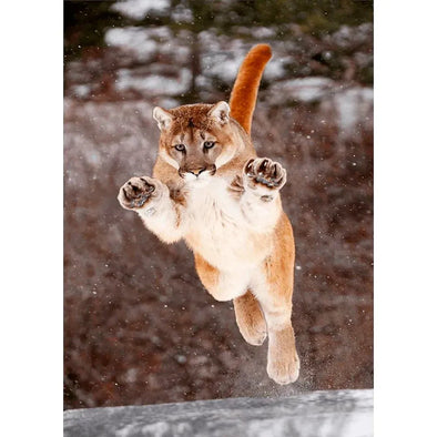 Cougar jumping - 3D Lenticular Postcard Greeting Cardd - NEW Postcard 3dstereo 