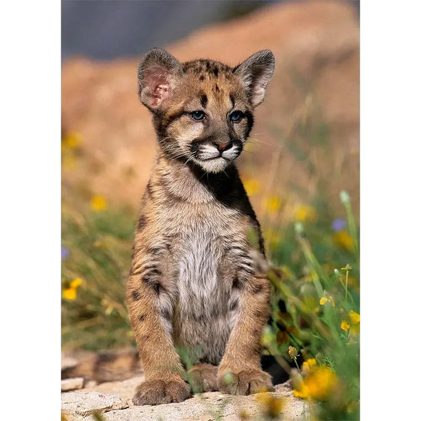 Couguar Cub - 3D Lenticular Postcard Greeting Card - NEW Postcard 3dstereo 