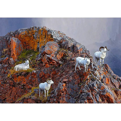 Dall Sheep - 3D Lenticular Postcard Greeting Card - NEW Postcard 3dstereo 