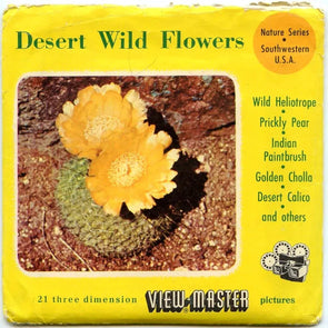 Desert Wild Flowers  - View-Master - 3 Reel Packet - 1950s views - vintage - (ECO-DEWILFLO-BS3)