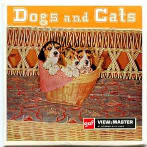 Dogs and Cats - View-Master 3 Reel Packet - 1970s - vintage - (PKT-B620E-G1) Packet 3Dstereo 