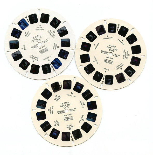 Dogs and Cats  - View-Master 3 Reel Packet - 1970s - vintage - (PKT-B620E-G1)