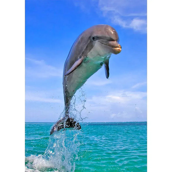 Dolphin Leaping - 3D Lenticular Postcard Greeting Card - NEW Postcard 3dstereo 