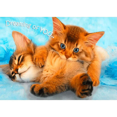 Dreaming of You - 3D Action Lenticular Postcard Greeting Card- NEW Postcard 3dstereo 
