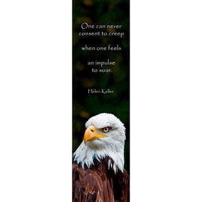 EAGLE FACE - 3D Lenticular Bookmark - NEW Bookmarks 3Dstereo 