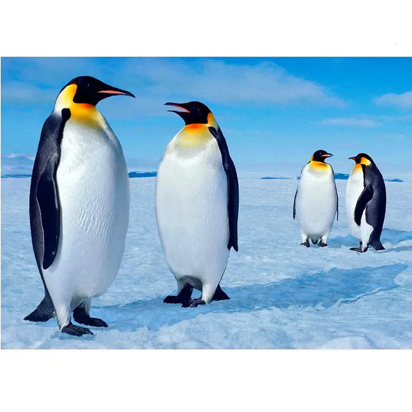Emperor Penguins - 3D Lenticular Postcard Greeting Card- NEW Postcard 3dstereo 