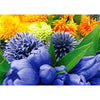 Flowers- 3D Lenticular Postcard Greeting Card - NEW 3dstereo 