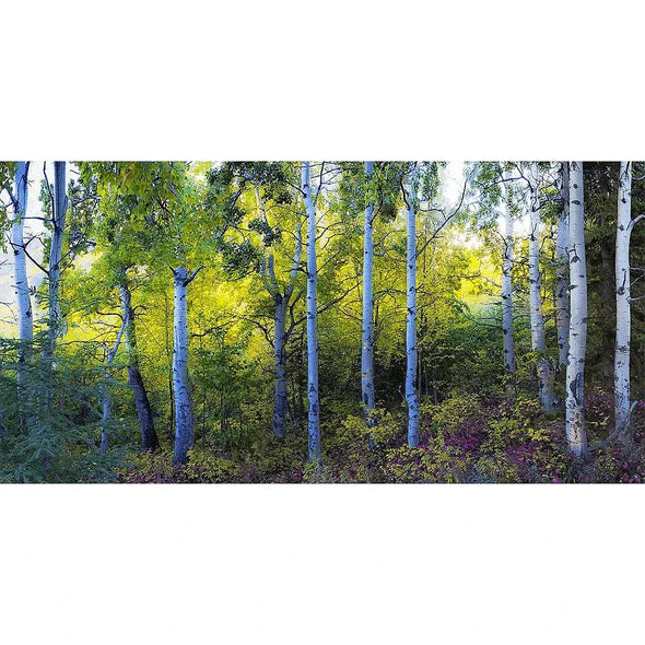 Forest Panorama - 3D Lenticular Oversize-Postcard Greeting Card - NEW Postcard 3dstereo 