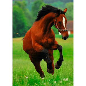 Frisky Horse - 3D Lenticular Postcard Greeting Card - NEW Postcard 3dstereo 