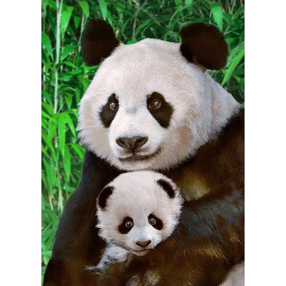 Giant Panda - 3D Lenticular Postcard Greeting Cardd - NEW Postcard 3dstereo 