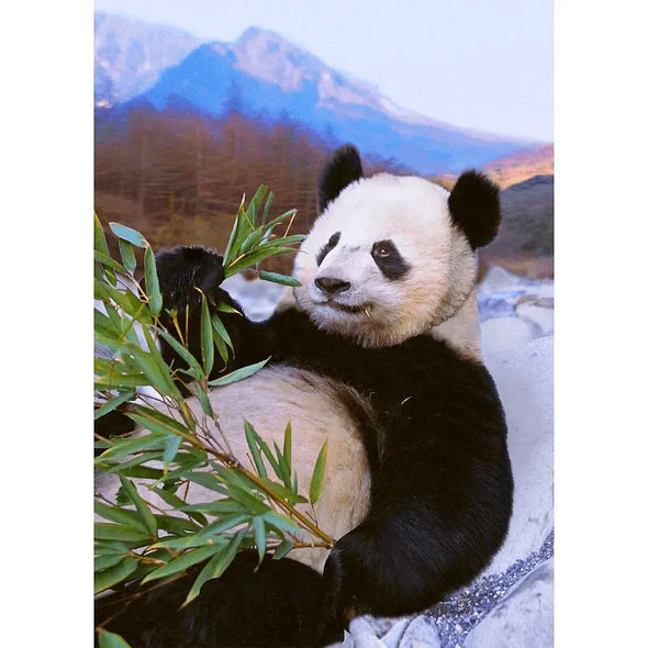 Giant Panda Relaxing - 3D Lenticular Postcard Greeting Card - NEW Postcard 3dstereo 