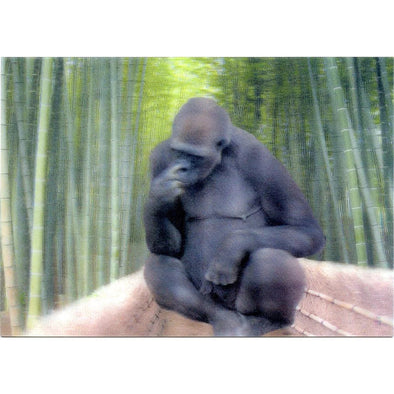 GORILLA - 3D Lenticular Postcard Greeting Card - NEW Post Cards 3dstereo 