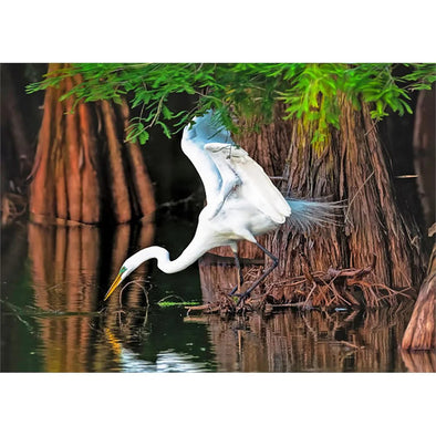 Great Egret - 3D Lenticular Postcard Greeting Card - NEW Postcard 3dstereo 