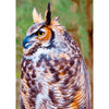Great Horned Owl - 3D Action Lenticular Postcard Greeting Card Postcard 3dstereo 