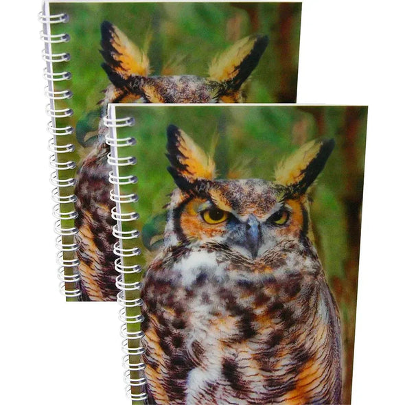 GREAT HORNED OWL - Two (2) Notebooks with 3D Lenticular Covers - Unlined Pages - NEW Notebook 3Dstereo.com 