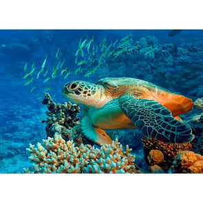 Green Sea TURTLE - 3D Lenticular Postcard Greeting Card- NEW Postcard 3dstereo 