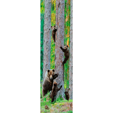 GRIZZLY BEAR FAMILY - 3D Lenticular Bookmark - NEW