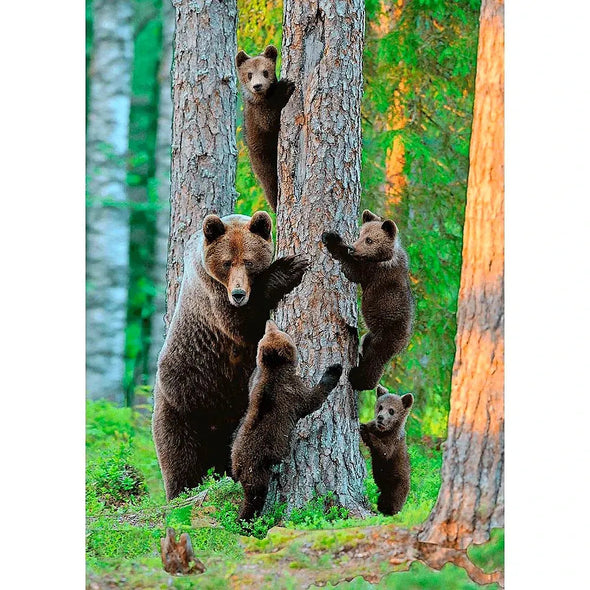Grizzly bear family - 3D Lenticular Postcard Greeting Cardd - NEW Postcard 3dstereo 