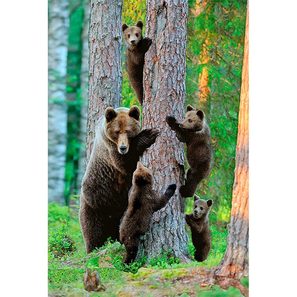 GRIZZLY BEAR FAMILY - 3D Magnet for Refrigerator, Whiteboard, Locker