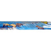 Grizzly Bears Fishing - 3D Lenticular Bookmark Ruler- NEW Ruler 3Dstereo 