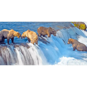 Grizzly Bears Fishing - 3D Lenticular Oversize-Postcard Greeting Cardd - NEW Postcard 3dstereo 
