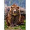 Grizzly Sitting - 3D Lenticular Postcard Greeting Cardd - NEW Postcard 3dstereo 