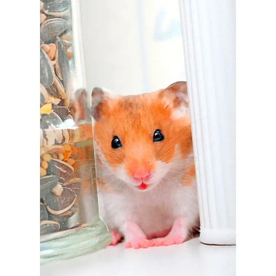 Hamster - 3D Lenticular Postcard Greeting Card - NEW Postcard 3dstereo 