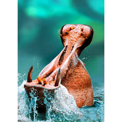Hippopotamus with Open Mouth - 3D Lenticular Postcard Greeting Cardd - NEW Postcard 3dstereo 