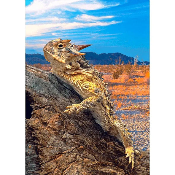 Horned Lizard - 3D Lenticular Postcard Greeting Card - NEW Postcard 3dstereo 