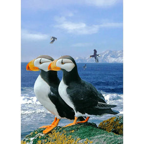 Horned Puffins - 3D Lenticular Postcard Greeting Card Postcard 3dstereo 