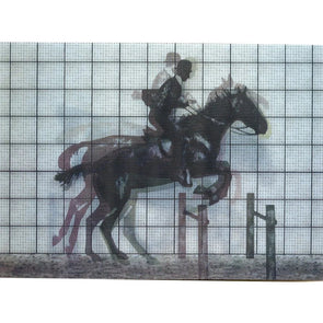 Horse Jumping - Muybridge - Motion - 3D Lenticular Postcard - NEW Postcard 3dstereo 
