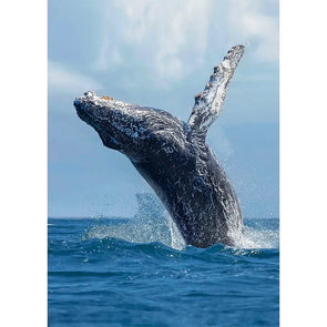 Humpback whale breaching - 3D Lenticular Postcard Greeting Card - NEW Postcard 3dstereo 