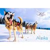 HUSKIES - ALASKA - 3D Magnet for Refrigerators, Whiteboards, and Lockers - NEW MAGNET 3dstereo 
