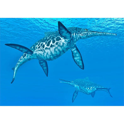 Ichthyosaur Shonisaurus - 3D Lenticular Postcard Greeting Card - NEW Postcard 3dstereo 