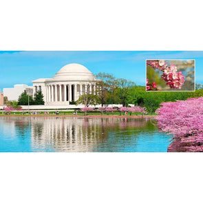 Jefferson Memorial Washington, D.C.- 3D Lenticular Oversize-Postcard Greeting Card- NEW Postcard 3dstereo 