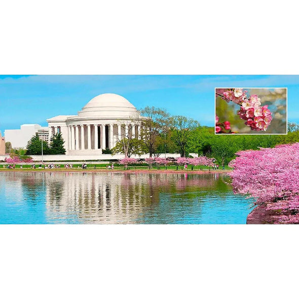 Jefferson Memorial Washington, D.C.- 3D Lenticular Oversize-Postcard Greeting Card- NEW Postcard 3dstereo 