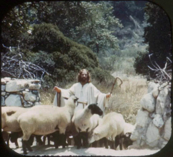 Jesus Our Good Shepherd - View-Master Single Reel - 1947 - vintage - (CH-49) Reels 3dstereo 
