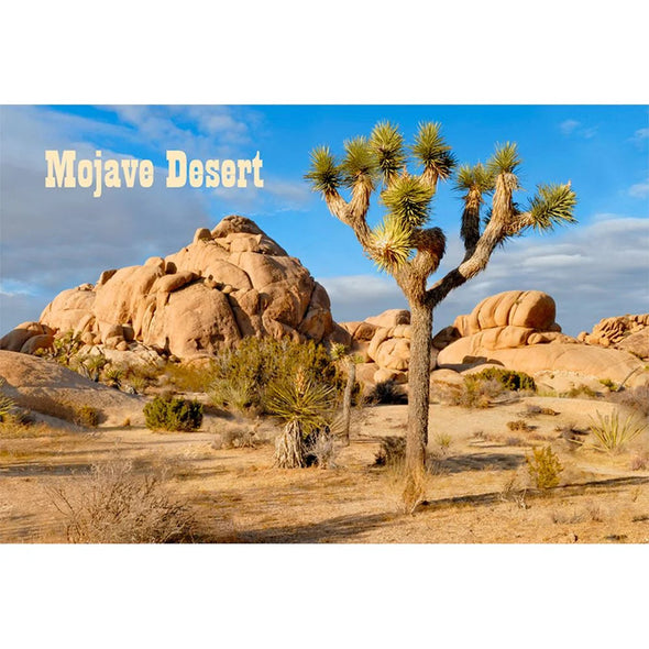 JOSHUA TREE - 3D Magnet for Refrigerators, Whiteboards, and Lockers - NEW MAGNET 3dstereo 